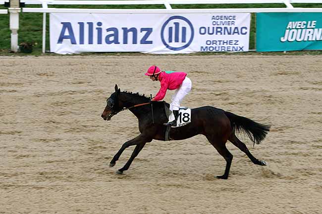 Arrivée quinté pmu PRIX DE MEILLON à PAU