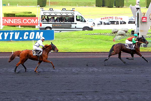 Arrivée quinté pmu PRIX DE L'ANGOUMOIS à PARIS-VINCENNES