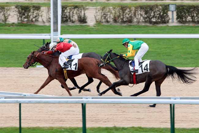 Arrivée quinté pmu PRIX DE LA FRICHE SAINT-VINCENT à DEAUVILLE
