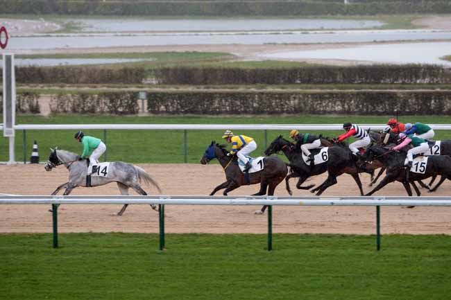 Arrivée quinté pmu PRIX DE MERVILLE à DEAUVILLE