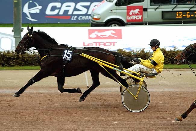 Arrivée quinté pmu PRIX DES MUFLIERS à CABOURG