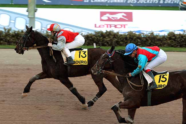 Arrivée quinté pmu PRIX DES PISSENLITS à CABOURG