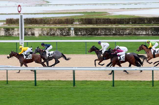 Arrivée quinté pmu PRIX DE CHEFFRETEAU à DEAUVILLE [MATINEE]