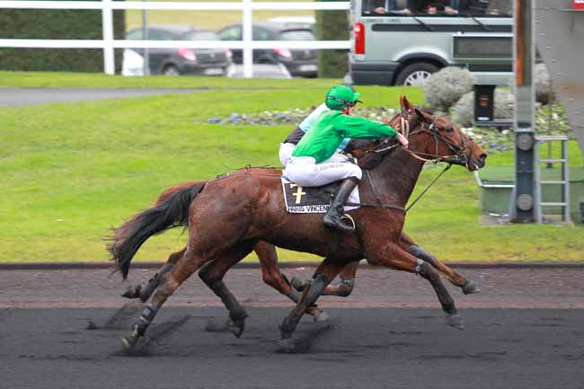 Arrivée quinté pmu PRIX DE LA REOLE à PARIS-VINCENNES