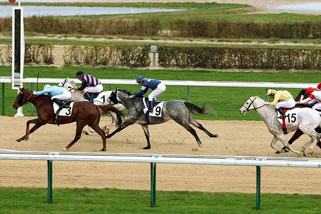 Arrivée quinté pmu PRIX DE SAINT-VAAST LA HOUGUE à DEAUVILLE
