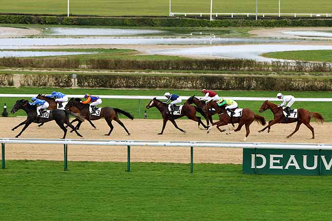 Arrivée quinté pmu PRIX DU GRAND CHENE à DEAUVILLE [MATINEE]