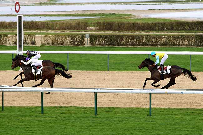 Arrivée quinté pmu PRIX DU PRESSOIR à DEAUVILLE [MATINEE]