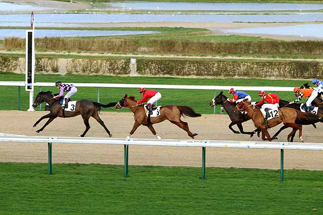 Arrivée quinté pmu PRIX DE FONTAINE à DEAUVILLE