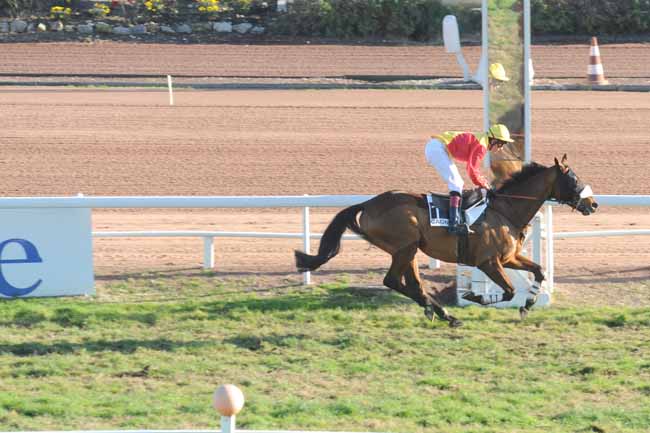 Arrivée quinté pmu PRIX DE LA VENDEE à CAGNES-SUR-MER