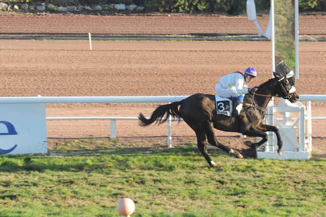 Arrivée quinté pmu PRIX DE L'AQUITAINE à CAGNES-SUR-MER