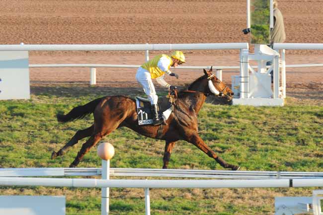 Arrivée quinté pmu PRIX DE LA BOURGOGNE à CAGNES-SUR-MER