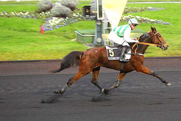 Arrivée quinté pmu PRIX DE BEAUMONT-DE-LOMAGNE à PARIS-VINCENNES