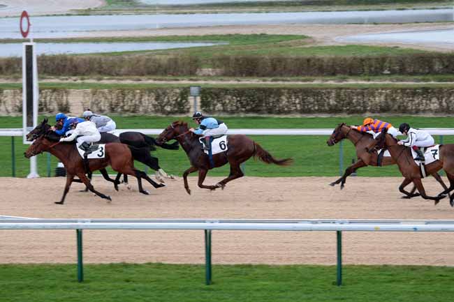 Arrivée quinté pmu PRIX DE LA PIGEONNIERE à DEAUVILLE [MATINEE]
