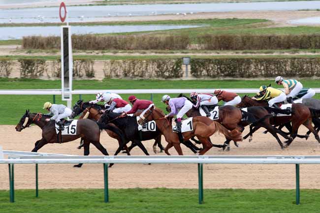 Arrivée quinté pmu PRIX D'HASPEL à DEAUVILLE [MATINEE]