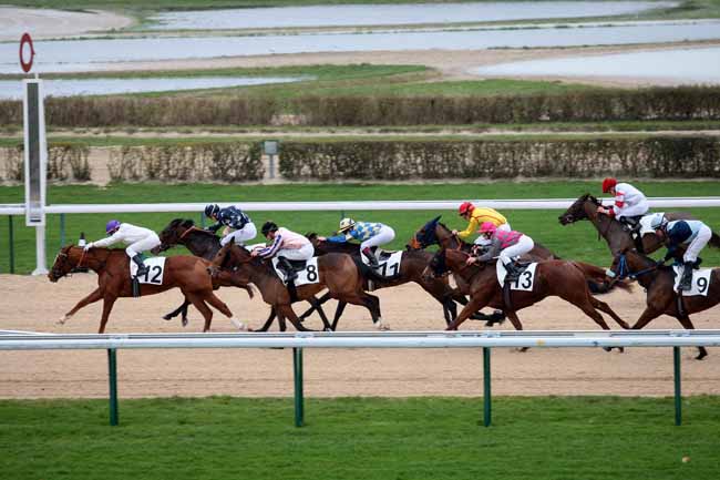 Arrivée quinté pmu PRIX DE LA RIVIERE SAINT-SAUVEUR à DEAUVILLE