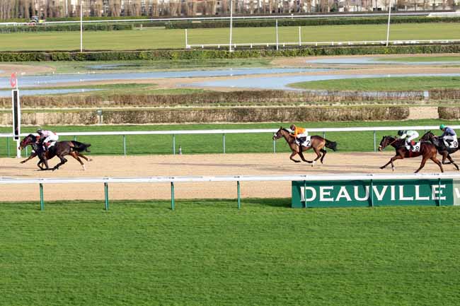 Arrivée quinté pmu PRIX DU HARAS DU PIN à DEAUVILLE [MATINEE]