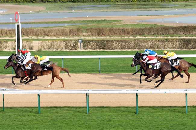 Arrivée quinté pmu PRIX DU HARAS DE SAINT-LO à DEAUVILLE [MATINEE]