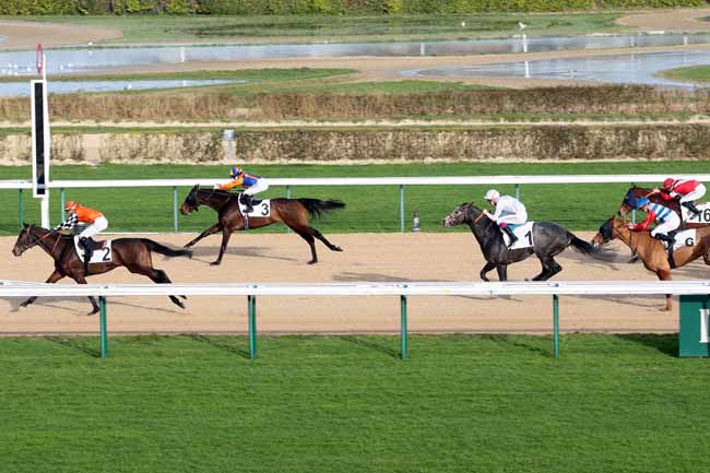 Arrivée quinté pmu PRIX DES TROIS RIVIERES à DEAUVILLE