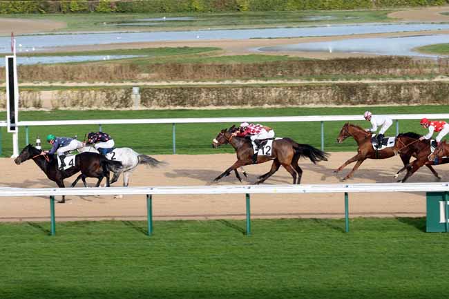 Arrivée quinté pmu PRIX DE BERD'HUIS à DEAUVILLE