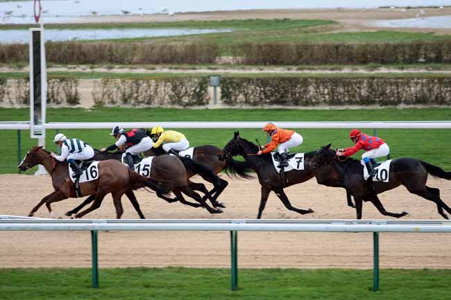 Arrivée quinté pmu PRIX MISS SATAMIXA à DEAUVILLE