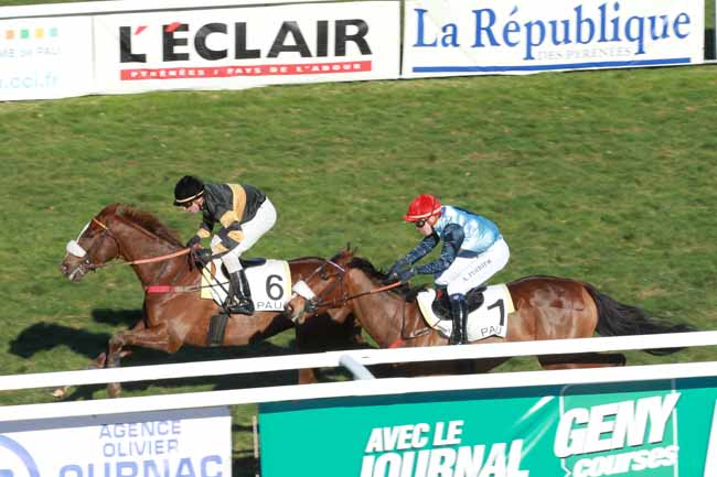 Arrivée quinté pmu PRIX DE BIDART PELOTON B) à PAU