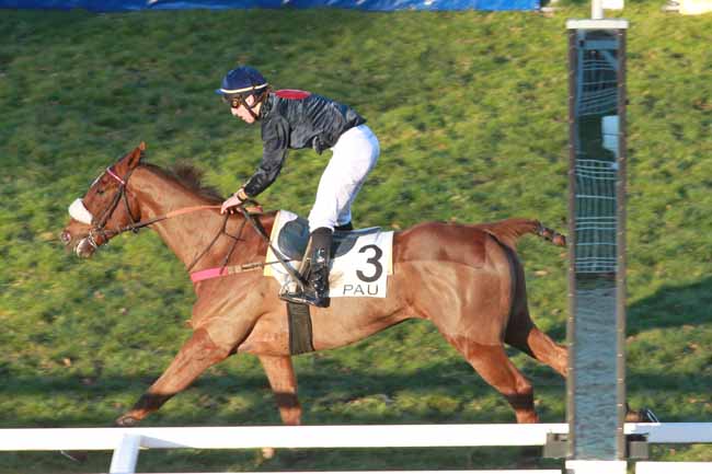Arrivée quinté pmu PRIX GUILLAUME DE PRACOMTAL à PAU