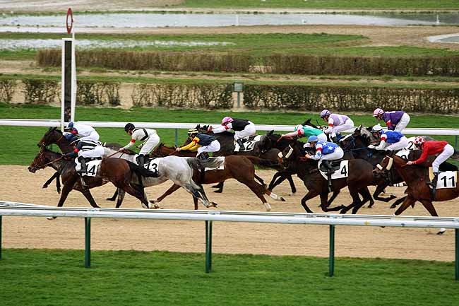 Arrivée quinté pmu PRIX DE CREULLET à DEAUVILLE