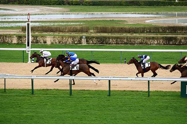 Arrivée quinté pmu PRIX DE LA FONTAINE TEAUVILLAISE à DEAUVILLE
