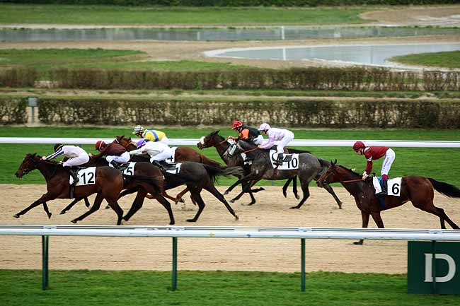 Arrivée quinté pmu PRIX DE LA BAIE DU MONT à DEAUVILLE
