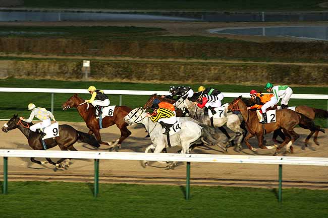 Arrivée quinté pmu PRIX DE CREULLY à DEAUVILLE