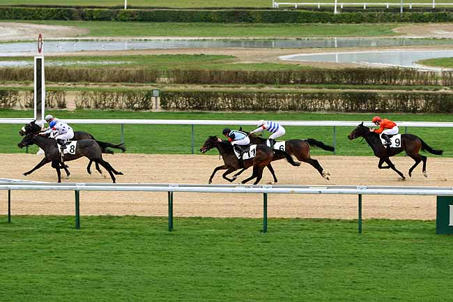 Arrivée quinté pmu PRIX DE LA BEAUVOISINIERE à DEAUVILLE [MATINEE]