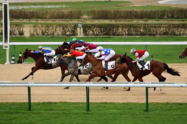 Arrivée quinté pmu PRIX DU MERLERAULT à DEAUVILLE [MATINEE]