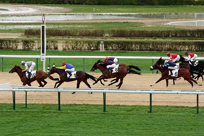 Arrivée quinté pmu PRIX DE LA GICQUELIERE à DEAUVILLE [MATINEE]