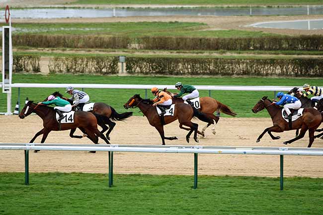 Arrivée quinté pmu PRIX DE LA GELINIERE à DEAUVILLE