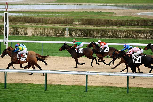 Arrivée quinté pmu PRIX DE LA CHARDENIERE à DEAUVILLE