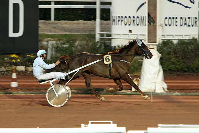 Arrivée quinté pmu PRIX DES COTES D'ARMOR à CAGNES-SUR-MER