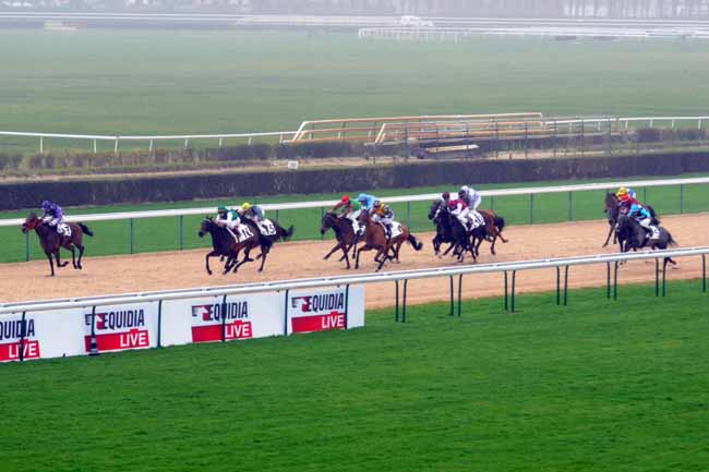 Arrivée quinté pmu PRIX D'ESSAI à DEAUVILLE [MATINEE]