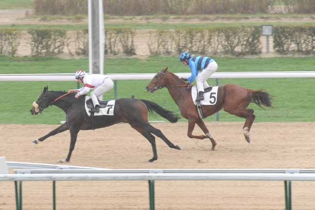 Arrivée quinté pmu PRIX DU TAILLIS à DEAUVILLE