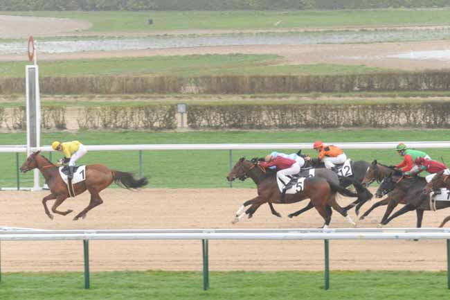 Arrivée quinté pmu PRIX DU BOIS AUX PROUX à DEAUVILLE