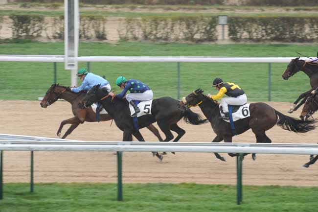 Arrivée quinté pmu PRIX DE LA TUILERIE à DEAUVILLE