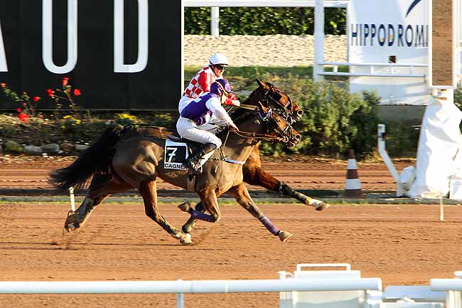 Arrivée quinté pmu PRIX HULK DE GODISSON à CAGNES-SUR-MER