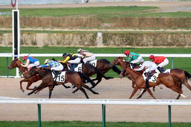 Arrivée quinté pmu PRIX DE DOMFRONT à DEAUVILLE