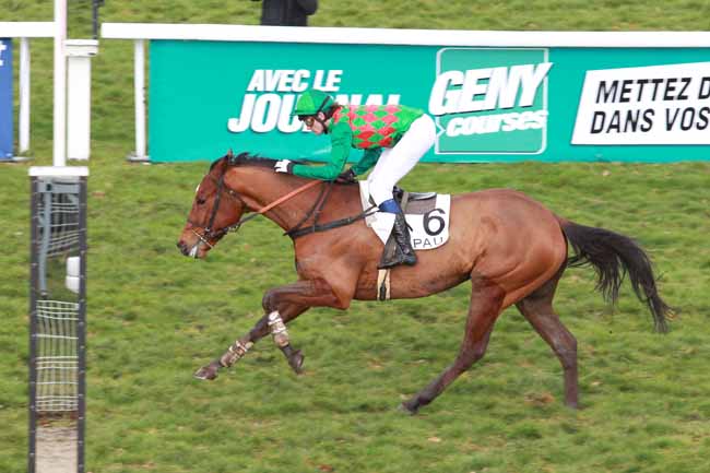 Arrivée quinté pmu PRIX JOSEPH DE GONTAUT-BIRON à PAU