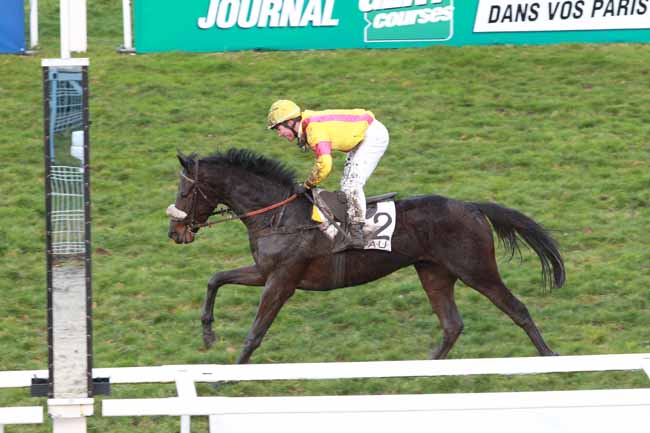 Arrivée quinté pmu PRIX JOURNAL GENYCOURSES - PRIX D'ALBRET à PAU