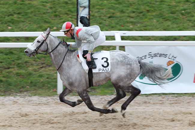 Arrivée quinté pmu PRIX DE LASSEUBE à PAU