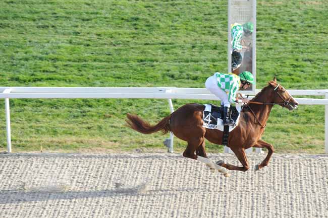 Arrivée quinté pmu PRIX DE FABRON à CAGNES-SUR-MER