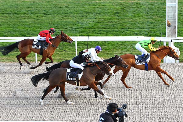 Arrivée quinté pmu PRIX FIROUZAN à CAGNES-SUR-MER