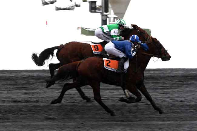 Arrivée quinté pmu PRIX DE POLIGNY à PARIS-VINCENNES