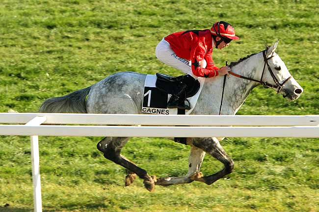 Arrivée quinté pmu PRIX ROBERT VILLENEUVE-BARGEMON à CAGNES-SUR-MER