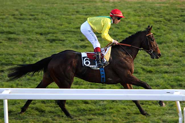 Arrivée quinté pmu PRIX DES COQUELICOTS à CAGNES-SUR-MER